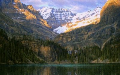 A Most Desirable Moment