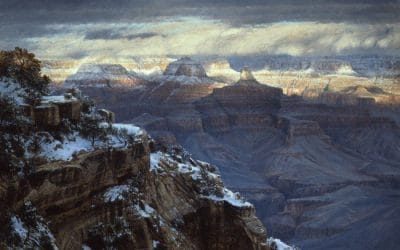 Winter Grandeur Revealed