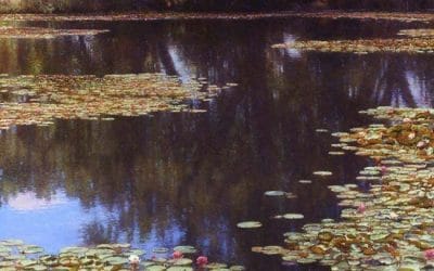 Rio Grande Reflections