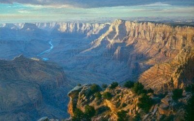 Facade of the Desert