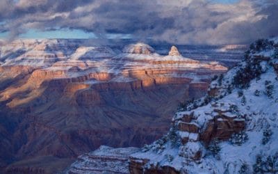 Winters Eloquent Solitude