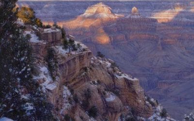 Evening’s Dance of Light