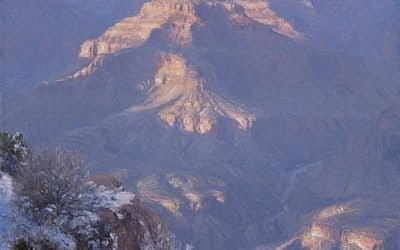 Gentled Hues of First Snow