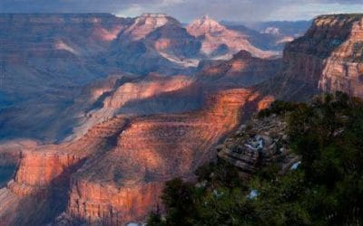 Mercurial Sun of January