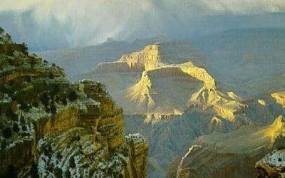 Still of the Wildness