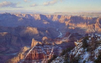 Winter Winds of the February