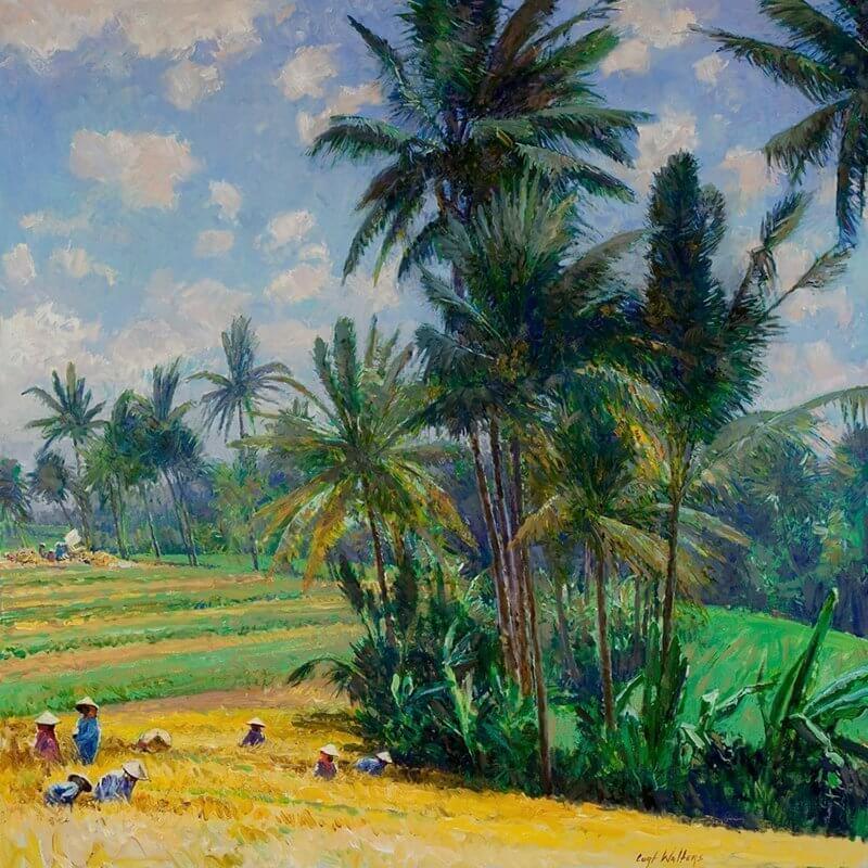 The Rice Fields of Bulan