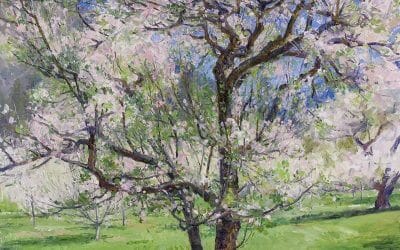 The Arborist’s Reward