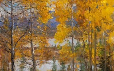 Vermilion Lake Aspens