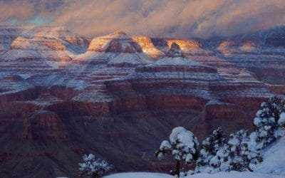 New Snow and Evening Light