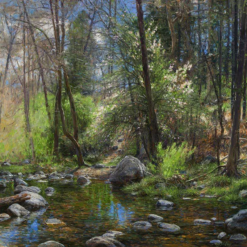 Creekside Discovery