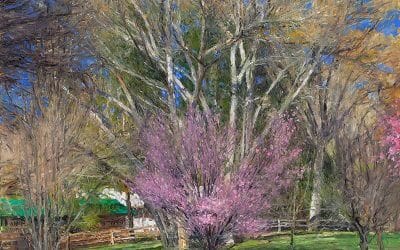 Spring Comes to Hidden Valley