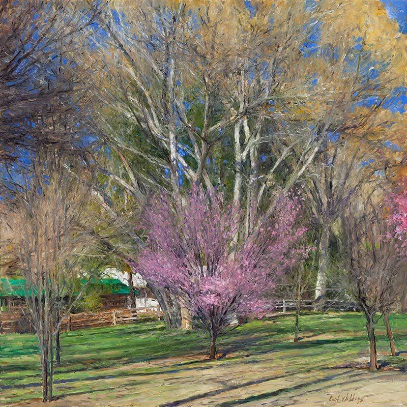 Spring Comes to Hidden Valley