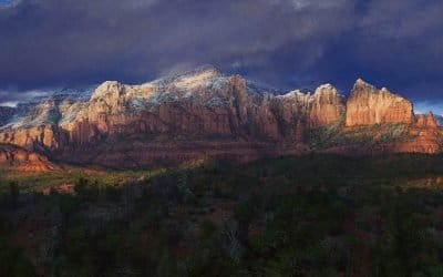 First Touch of Winter