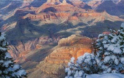 Clearing on the Kaibab