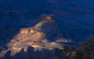 Cyanic Day Interrupted