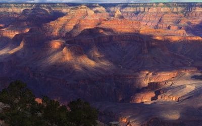 November’s Trinity