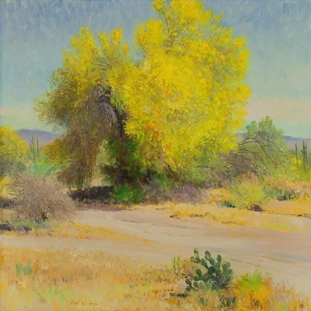 Palo Verde Glow