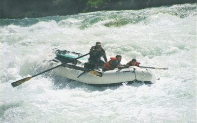 10 Years of Conservation Through Art