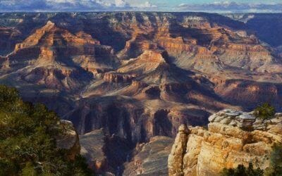 Contexture of August