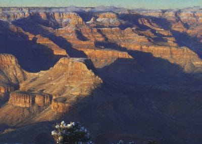 Januarius by Curt Walters