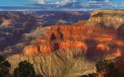 Beneath the Cloak of Notos