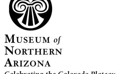 Vivacious November to be Auctioned Off at the 2015 Gala Weekend Auction