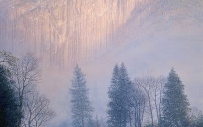 Mist on the Merced