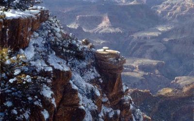 Winter at Yaki Point