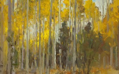 Back Road to Hart Prairie