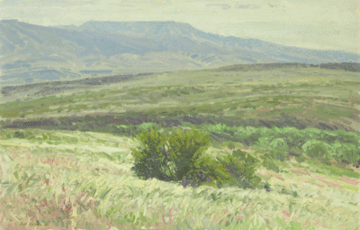 VALLEY OF THE VERDE --oil on panel 19x30 1986