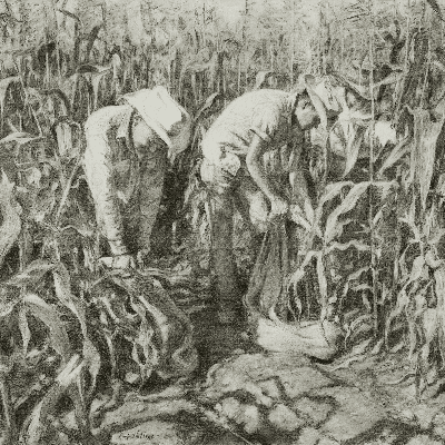 Navajo-Harvest-2013-27-x-30 ordering-descent-1540-lopez-de-cardenas