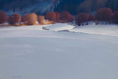 Willows in the Winter