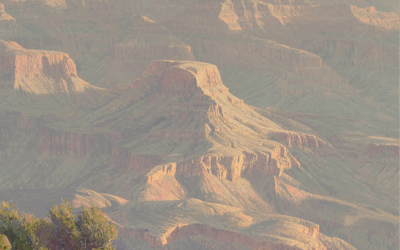 Morning in the Canyon