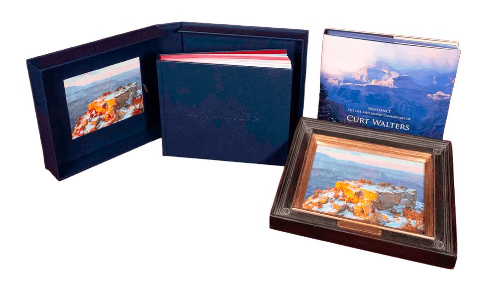 curtbookdisplay (2) (1)