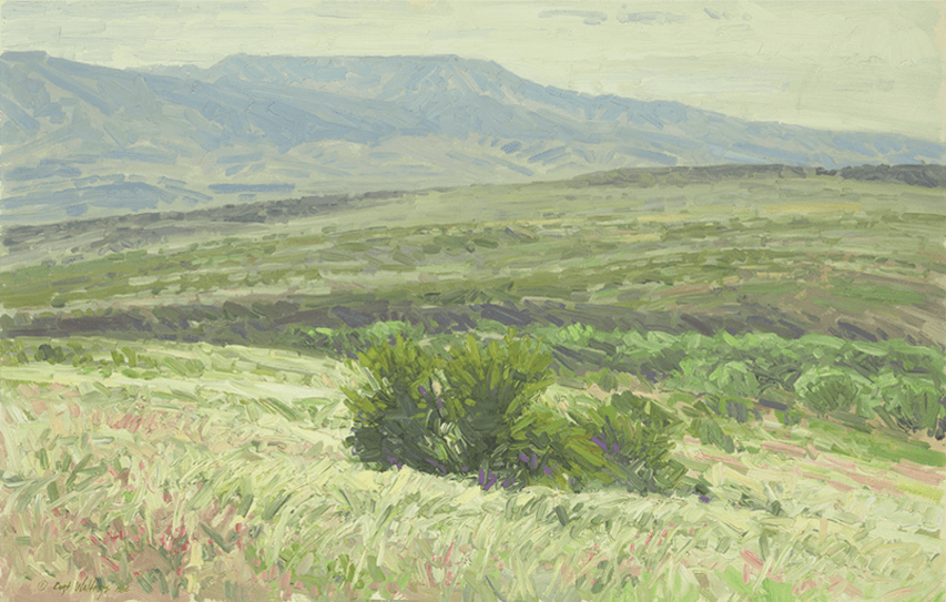 Valley_of_the_Verde-19x30-1986
